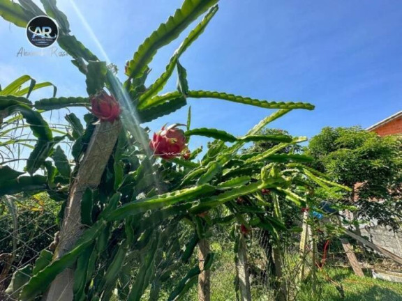 Imagem Chácara com 2 Quartos à Venda, 250 m² em Machadinho - Jarinu