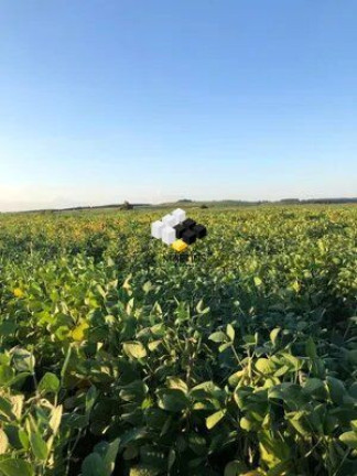Imóvel à Venda, 10.000.000 m² em Zona Rural - Cacequi