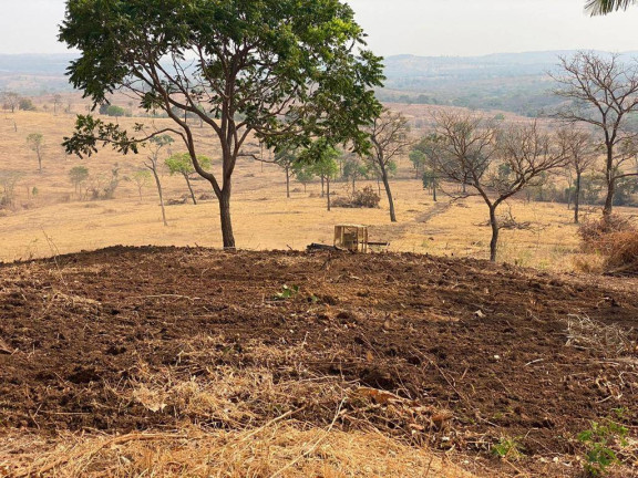 Imagem Fazenda à Venda, em Campinápolis Imagem Fazenda à Venda, em Campinápolis