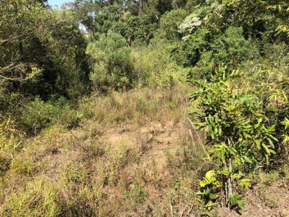 Imagem Terreno à Venda, 5.017 m² em Chácara Das Candeias - Carapicuíba Imagem Terreno à Venda, 5.017 m² em Chácara Das Candeias - Carapicuíba