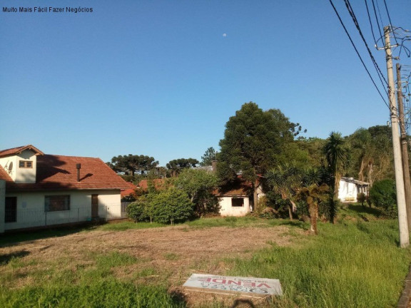 Imagem Terreno à Venda, 1.452 m² em Logradouro - Nova Petrópolis Imagem Terreno à Venda, 1.452 m² em Logradouro - Nova Petrópolis