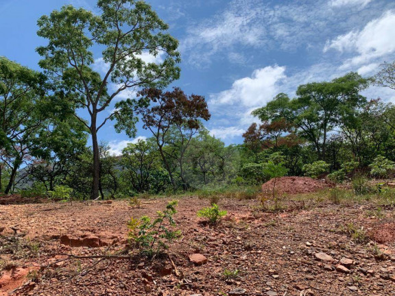 Imagem Terreno à Venda, 1.000 m² em Suzana - Brumadinho Imagem Terreno à Venda, 1.000 m² em Suzana - Brumadinho