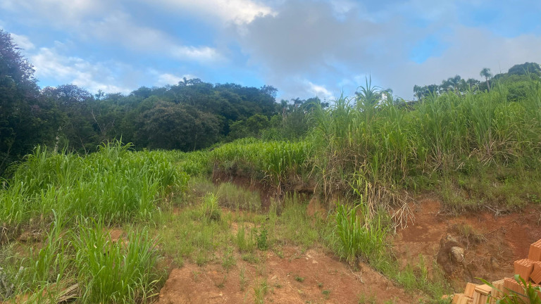 Imagem Terreno à Venda, 1.000 m² em Macacu - Garopaba Imagem Terreno à Venda, 1.000 m² em Macacu - Garopaba