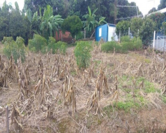 Terreno à Venda, 378 m² em Br 116 - Nova Petrópolis