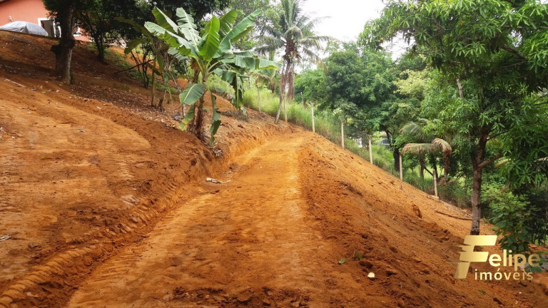 Imagem Imóvel com 1 Quarto à Venda, 7.000 m² em Comunidade Urbana De Maxinda - Guarapari
