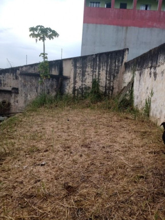 Imagem Terreno à Venda, 250 m² em Vila Príncipe De Gales - Santo André