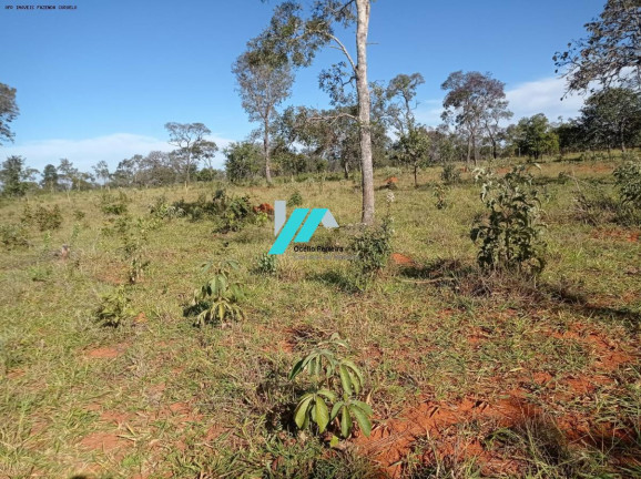 Imagem Fazenda à Venda, 25 m² em Zona Rural - Curvelo Imagem Fazenda à Venda, 25 m² em Zona Rural - Curvelo
