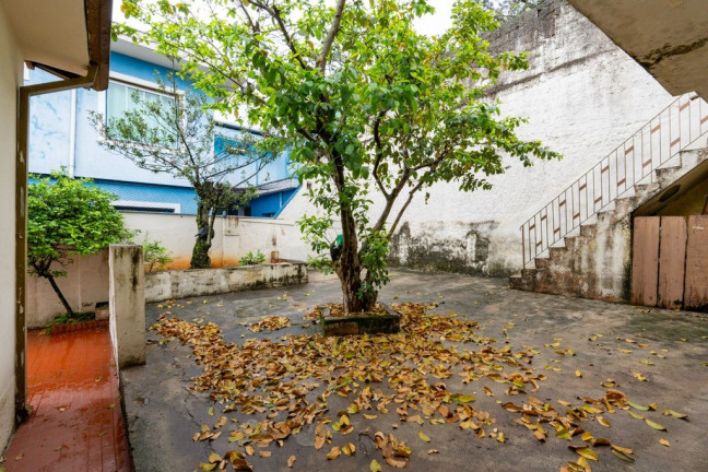 Imagem Casa com 3 Quartos à Venda, 149 m² em Jardim Bonfiglioli - São Paulo