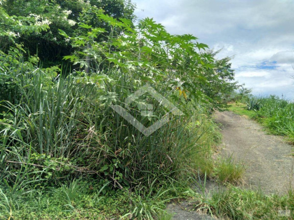 Imagem Terreno à Venda, 261 m² em Campo Grande - Rio De Janeiro Imagem Terreno à Venda, 261 m² em Campo Grande - Rio De Janeiro