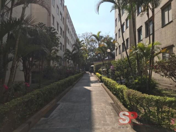 Imagem Apartamento com 2 Quartos à Venda, 54 m² em Jardim Esmeralda - São Paulo Imagem Apartamento com 2 Quartos à Venda, 54 m² em Jardim Esmeralda - São Paulo