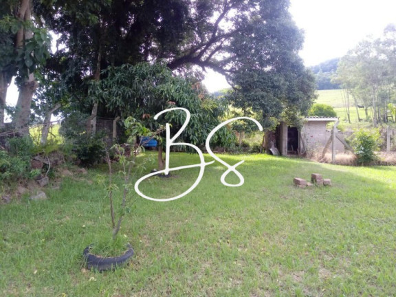 Imagem Imóvel com 3 Quartos à Venda, 1.800 m² em Lajeadinho - Igrejinha