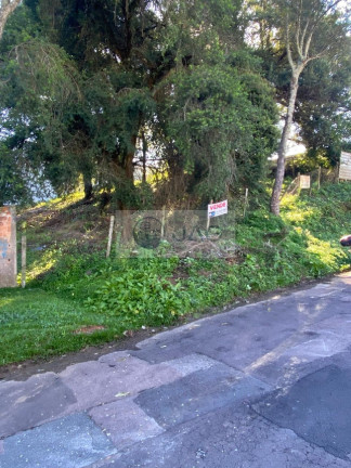 Imagem Terreno à Venda, 303 m² em Mossunguê - Curitiba Imagem Terreno à Venda, 303 m² em Mossunguê - Curitiba