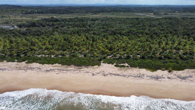 Imagem Chácara à Venda, 20.000 m² em Marau Imagem Chácara à Venda, 20.000 m² em Marau