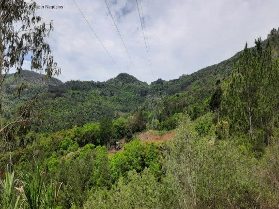Imagem Terreno à Venda, 4 m² em São José Do Caí - Nova Petrópolis Imagem Terreno à Venda, 4 m² em São José Do Caí - Nova Petrópolis