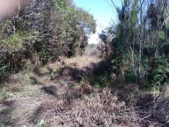 Imagem Imóvel com 4 Quartos à Venda, 24.200 m² em água Azul - Lapa