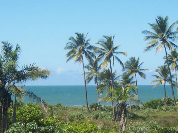 Imagem Chácara à Venda, 400.000 m² em Aritaguá - Ilhéus Imagem Chácara à Venda, 400.000 m² em Aritaguá - Ilhéus