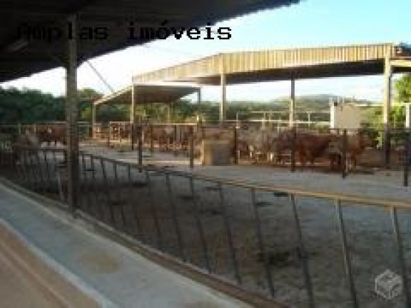 Imagem Fazenda à Venda,  em Queiroz - Mateus Leme