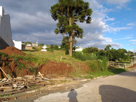 Imagem Terreno à Venda, 345 m² em Floresta - Dois Irmãos Imagem Terreno à Venda, 345 m² em Floresta - Dois Irmãos