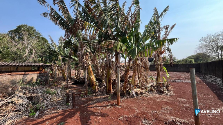 Imagem Imóvel com 1 Quarto à Venda, 5.750 m² em Conjunto Habitacional Izidro Pedroso - Dourados