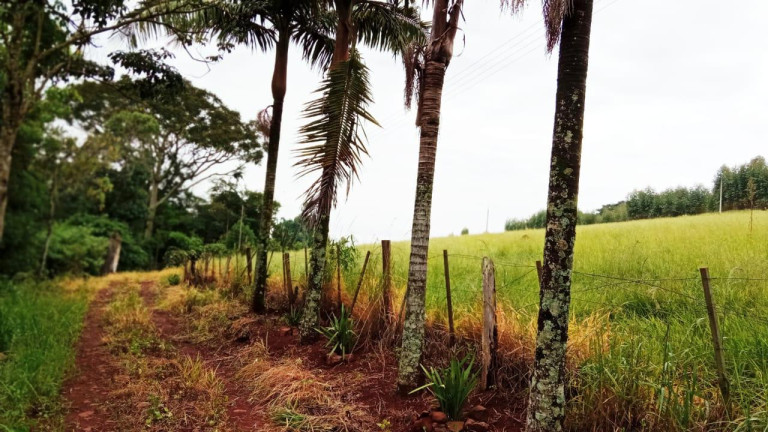 Imagem Chácara à Venda, 2 m² em Rural - Arandu Imagem Chácara à Venda, 2 m² em Rural - Arandu