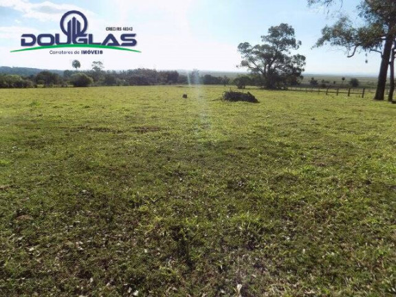 Imagem Chácara à Venda, 8 m² em águas Claras - Viamão Imagem Chácara à Venda, 8 m² em águas Claras - Viamão