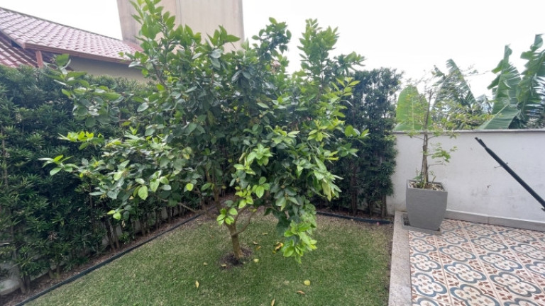 Imagem Apartamento com 4 Quartos à Venda, 240 m² em Canasvieiras - Florianópolis