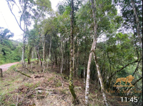 Terreno à Venda, 1.490 m² em Alataia - Campos Do Jordão