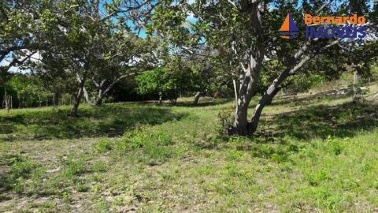 Imagem Chácara com 2 Quartos à Venda, 150 m² em Balbino - Cascavel
