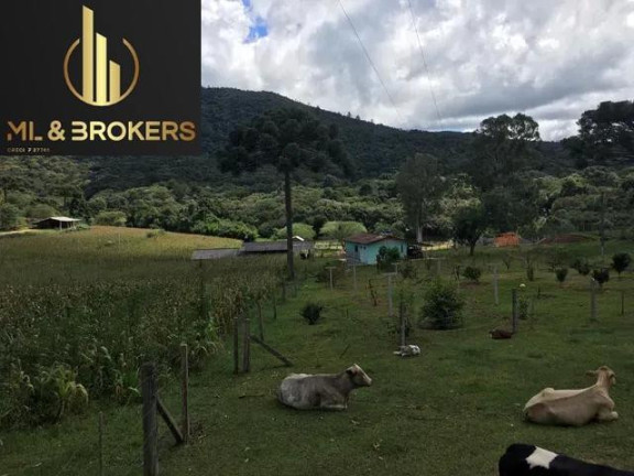 Imagem Imóvel com 3 Quartos à Venda, 200.000 m² em Zona Rural - Mandirituba