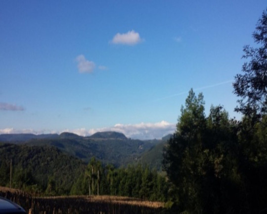 Terreno à Venda, 1 m² em São Jacó - Nova Petrópolis