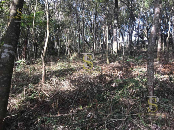 Imagem Terreno à Venda, 1.500 m² em Mairiporã - Mairiporã Imagem Terreno à Venda, 1.500 m² em Mairiporã - Mairiporã