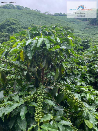 Imagem Fazenda à Venda, 35 m² em Manhumirim Imagem Fazenda à Venda, 35 m² em Manhumirim
