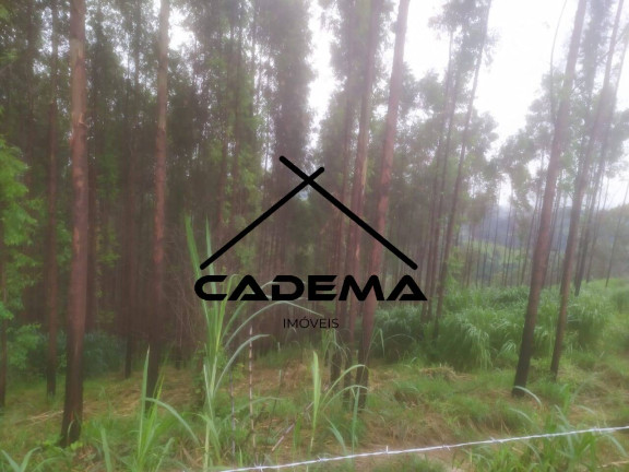 Imagem Chácara à Venda, 1 m² em Zona Rural - Jacutinga Imagem Chácara à Venda, 1 m² em Zona Rural - Jacutinga