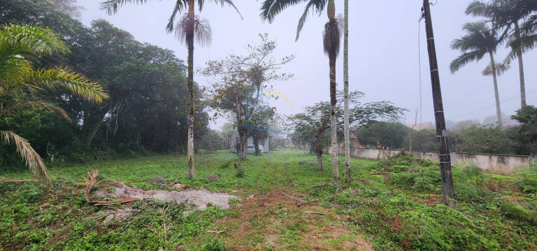 Imagem Terreno à Venda, 80 m² em Praia Do Erwino - São Francisco Do Sul Imagem Terreno à Venda, 80 m² em Praia Do Erwino - São Francisco Do Sul