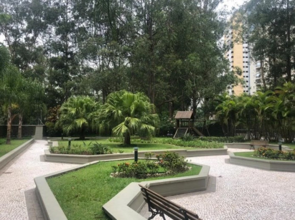 Imagem Imóvel com 3 Quartos à Venda, 82 m² em Paraíso Do Morumbi - São Paulo Imagem Imóvel com 3 Quartos à Venda, 82 m² em Paraíso Do Morumbi - São Paulo