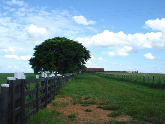 Imagem Imóvel à Venda, 2.042 m² em área Rural De Marília - Marília Imagem Imóvel à Venda, 2.042 m² em área Rural De Marília - Marília