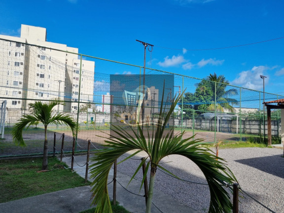 Imagem Apartamento com 3 Quartos para Alugar, 63 m² em Candeias - Jaboatão Dos Guararapes Imagem Apartamento com 3 Quartos para Alugar, 63 m² em Candeias - Jaboatão Dos Guararapes