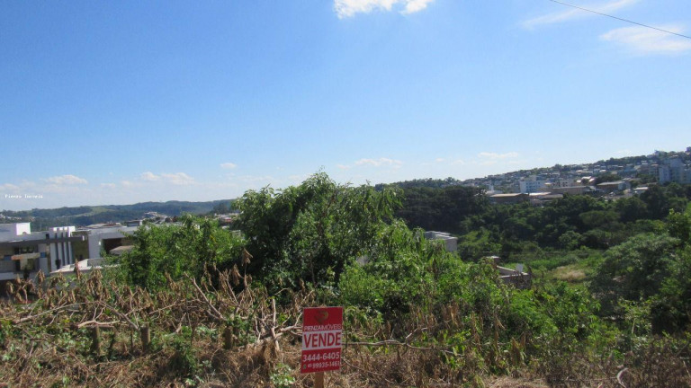 Imagem Terreno à Venda, 450 m² em Jardim - Concórdia Imagem Terreno à Venda, 450 m² em Jardim - Concórdia