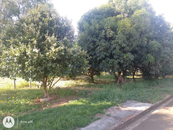 Imagem Terreno à Venda, 250 m² em Jardim Itália - Pirassununga Imagem Terreno à Venda, 250 m² em Jardim Itália - Pirassununga