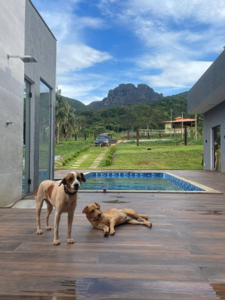 Imagem Chácara com 3 Quartos à Venda, 1 m² em Centro - Igarapé