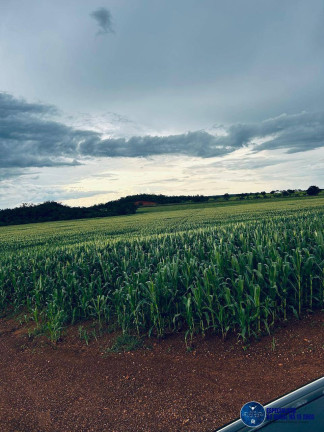 Fazenda à Venda, 822 m² em Zona Rural - Araguaína