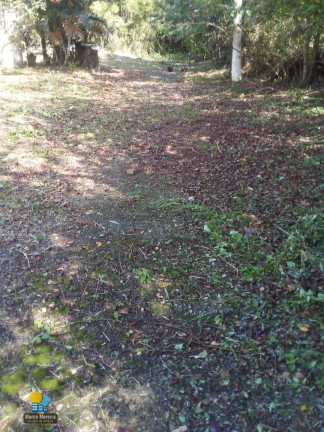 Imagem Terreno à Venda, 8.610 m² em São João Do Rio Vermelho - Florianópolis Imagem Terreno à Venda, 8.610 m² em São João Do Rio Vermelho - Florianópolis