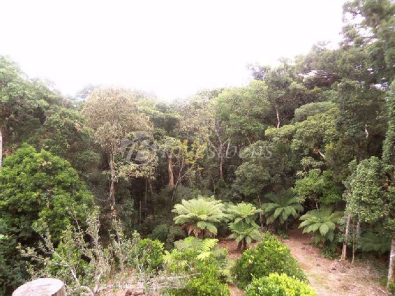Imagem Imóvel com 2 Quartos à Venda, 87.670 m² em Centro - Tijucas Do Sul