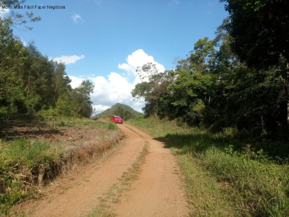 Imagem Terreno à Venda, 3 m² em Fazenda Pirajá - Nova Petrópolis