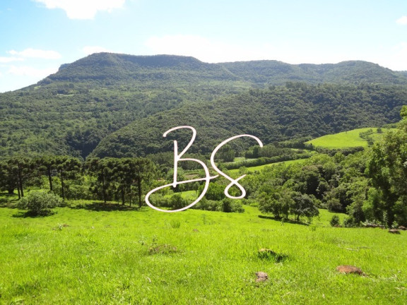 Imóvel com 4 Quartos à Venda, 450.000 m² em Centro - Canela