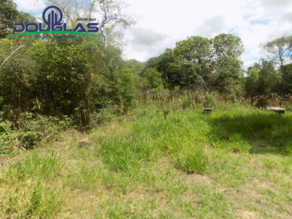 Imagem Imóvel Comercial à Venda, em Viamão Imagem Imóvel Comercial à Venda, em Viamão