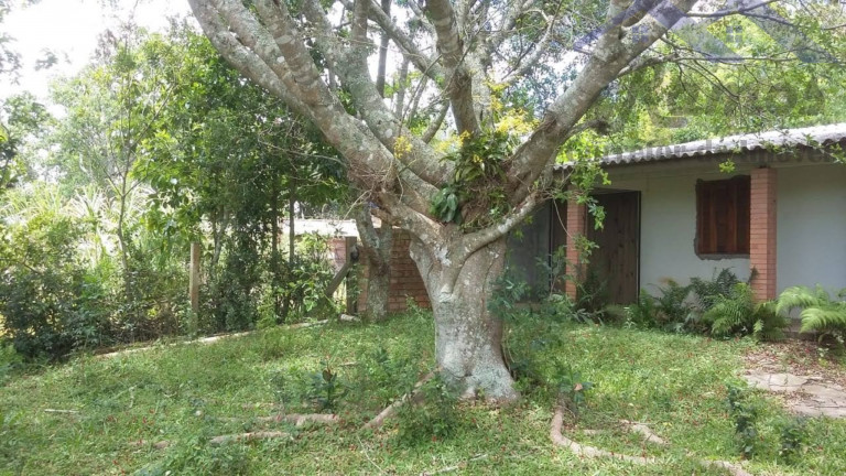 Imagem Imóvel com 3 Quartos à Venda, 20.000 m² em Itapua - Porto Alegre