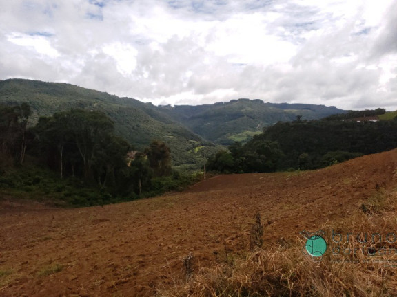 Imagem Imóvel com 1 Quarto à Venda, 60.000 m² em Zona Rural - Alfredo Wagner