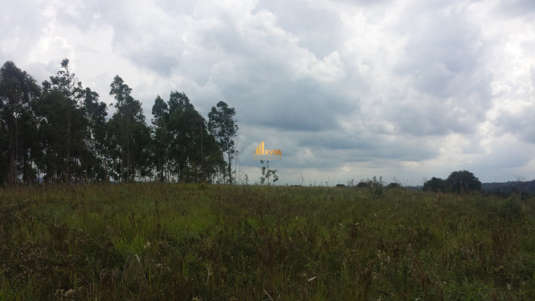 Imagem Terreno à Venda,  em Limal - Piedade
