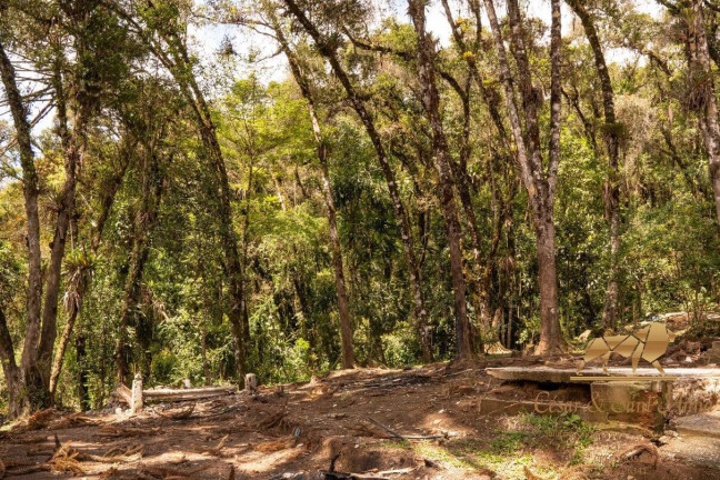 Imagem Terreno à Venda, 3.132 m² em Campos Do Jordão Imagem Terreno à Venda, 3.132 m² em Campos Do Jordão